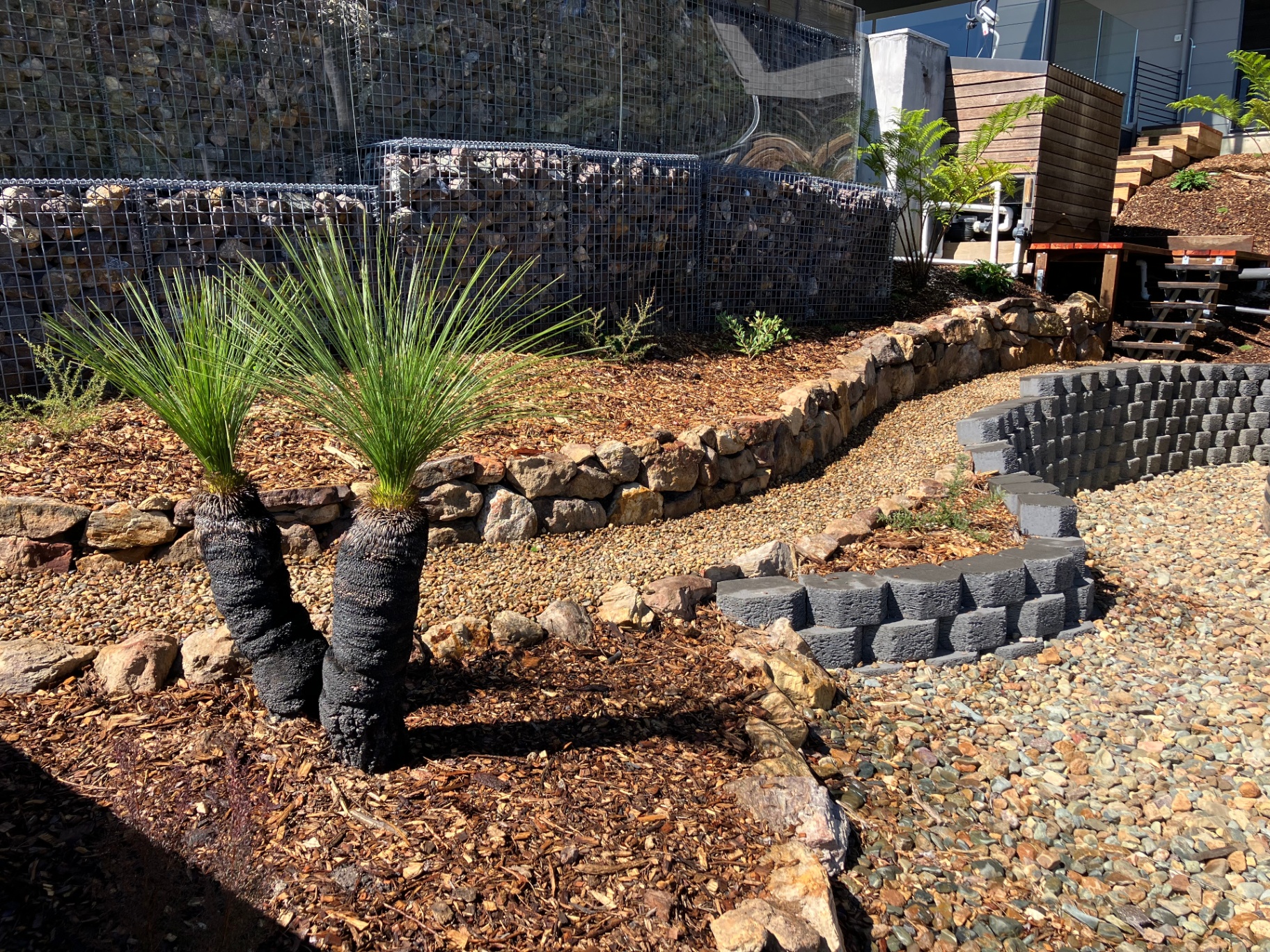 Gabion & Grass Tree Garden